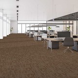 Mohawk Aladdin Carpet Tile
Material Sensibility